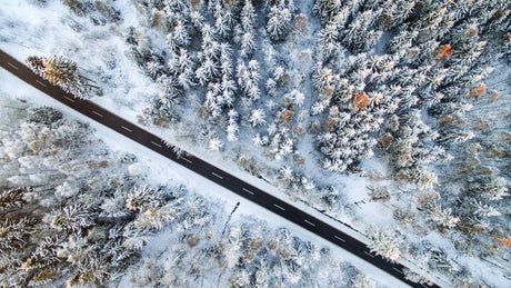 Nutzen Sie den Winter mit diesen Fotografie-Tipps