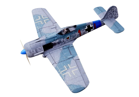 FM  Focke Wolf Fw190 - FPV Combat