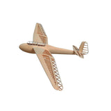 Tony Ray DFS Kranich Scaleflyer 1498mm